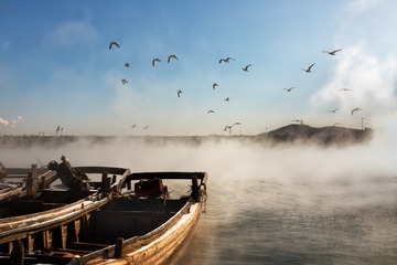 海浩