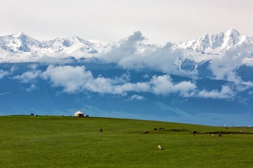 草原雪山
