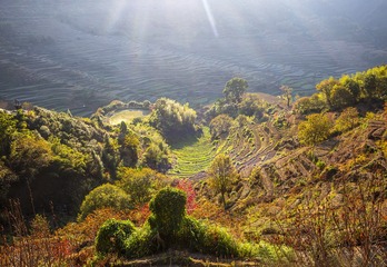 篁岭秋色