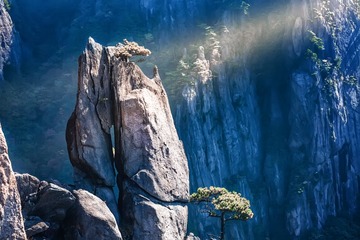 黄山恋