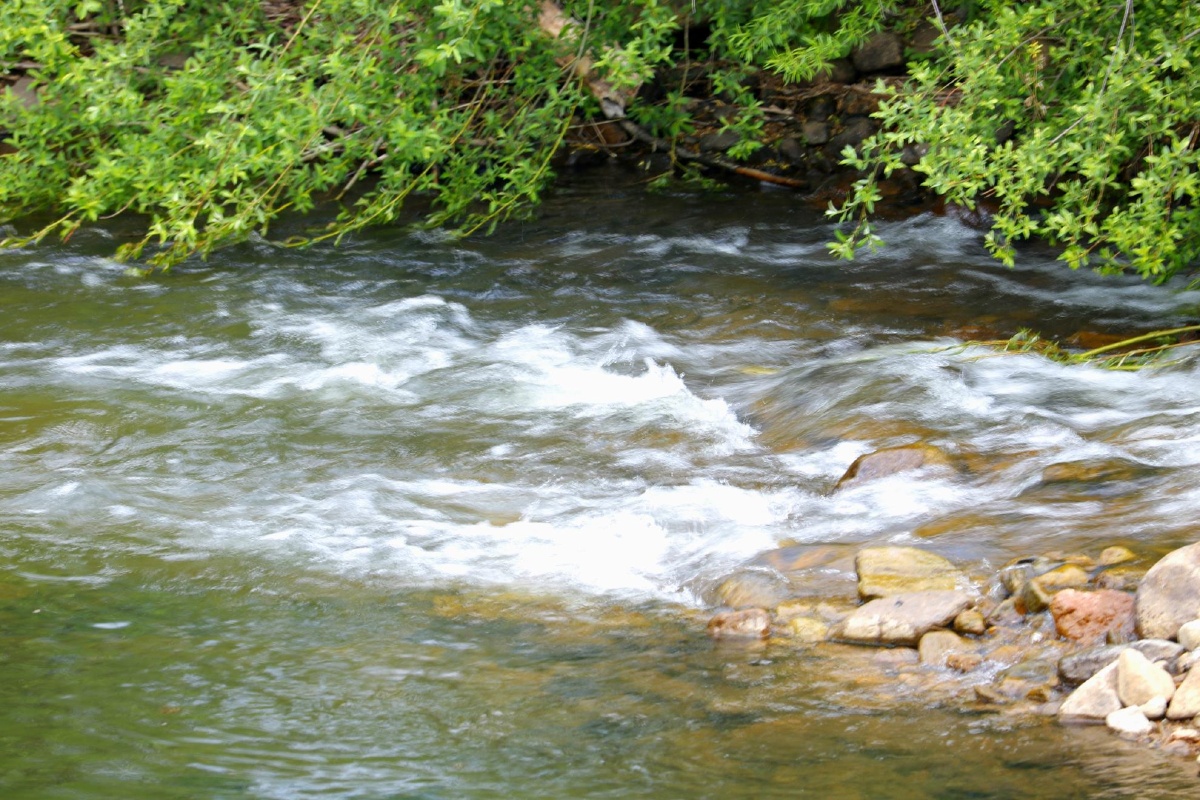 绿水青山就是金银银山伊春市翠峦区摄影