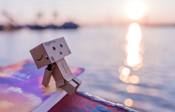 3556