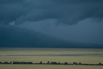 1407889
