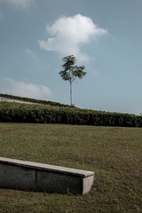 A7AADB8B-57A4-4CEB-9319-ACBC9DA9FA4C/L0/001