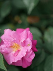 D3A5FFFD-F51E-4DD7-BDBA-1D926AB6C1ED/L0/001
