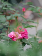 57AB14B7-F68E-4886-B971-207BC45B3BBC/L0/001