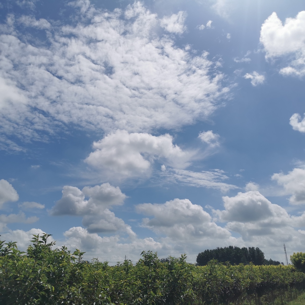 晴空万里蓝天白云做个阳光男孩