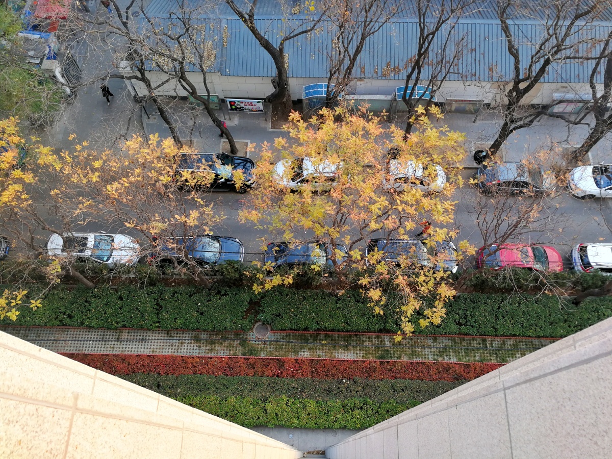 俯瞰初冬北京小街