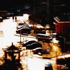 2016_0209_北京_富燕_午后