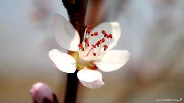 2016_0320_北京_燕山_大石河