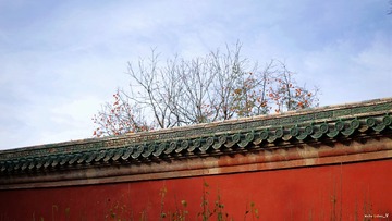 20161120