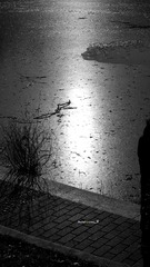 20161211