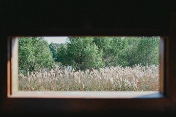 1232CFCE-C721-4428-81ED-03D7C0F68641/L0/001