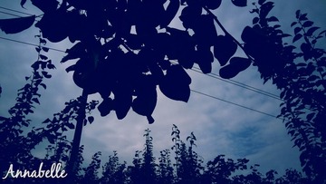 20160910_170748_wm