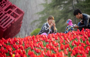 《春天的约会》