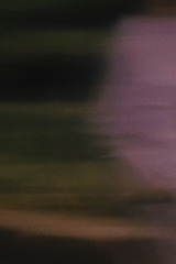 1DBB646F-4372-483D-A526-F3EAED9DF175/L0/001