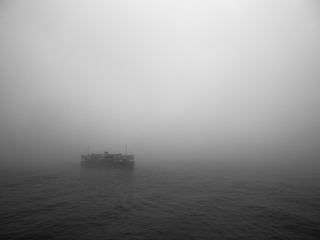 P3190446 -  迷失