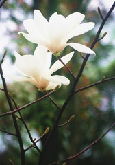 照片 038_135