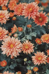 _DSF6983-RAF