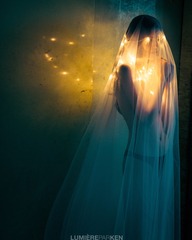 ChasingLight594