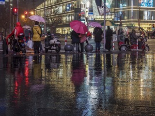P1281861d雨夜