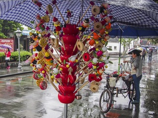 P4250810c雨中的红色