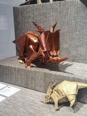 IMG_20160514_155634