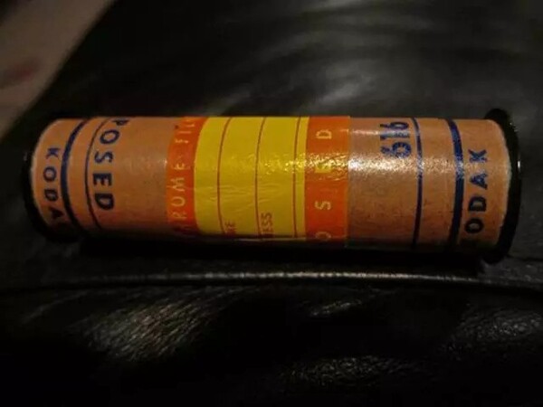 16948807.jpg