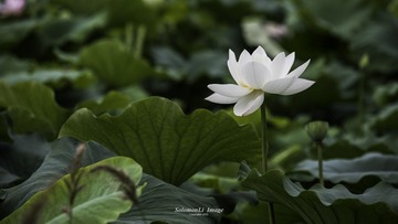 _DSC5077