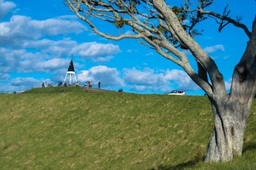 _DSC6169