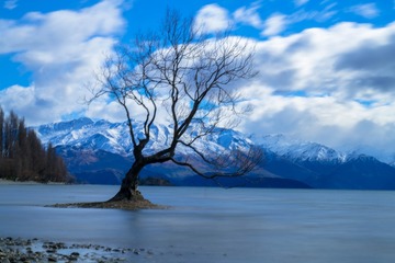 _DSC6717