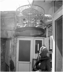 _DSC00a13