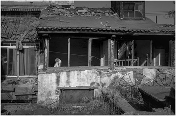 _DSC00a70