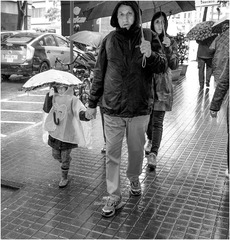 雨中