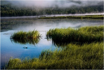 恋爱季节  根河湿地