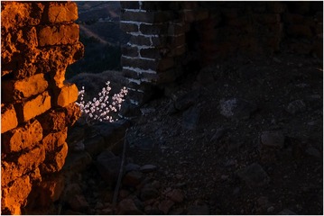 DSCFa4954