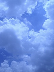 F9D1EEAC-5505-4B09-90E6-F88512EFE94C/L0/001
