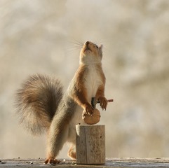 355940