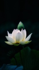 1000014062