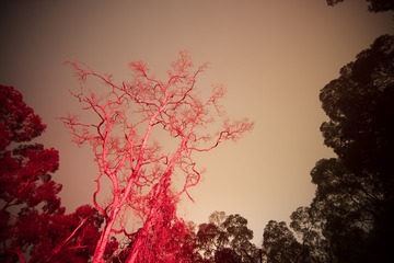 _02A0966x