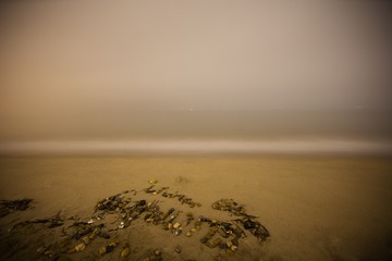 _02A0971x