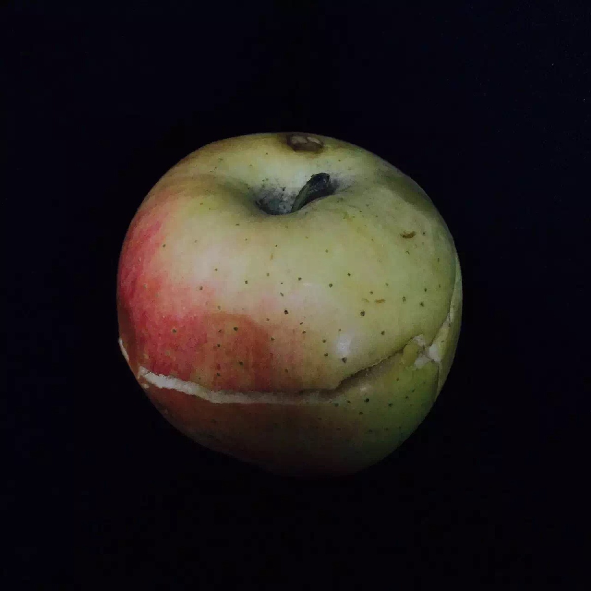 9.24 一只沿横轴方向自然裂开的苹果.