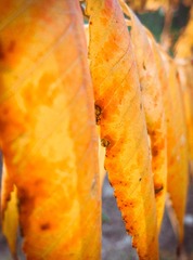 20151103-IMG_20151103_084849
