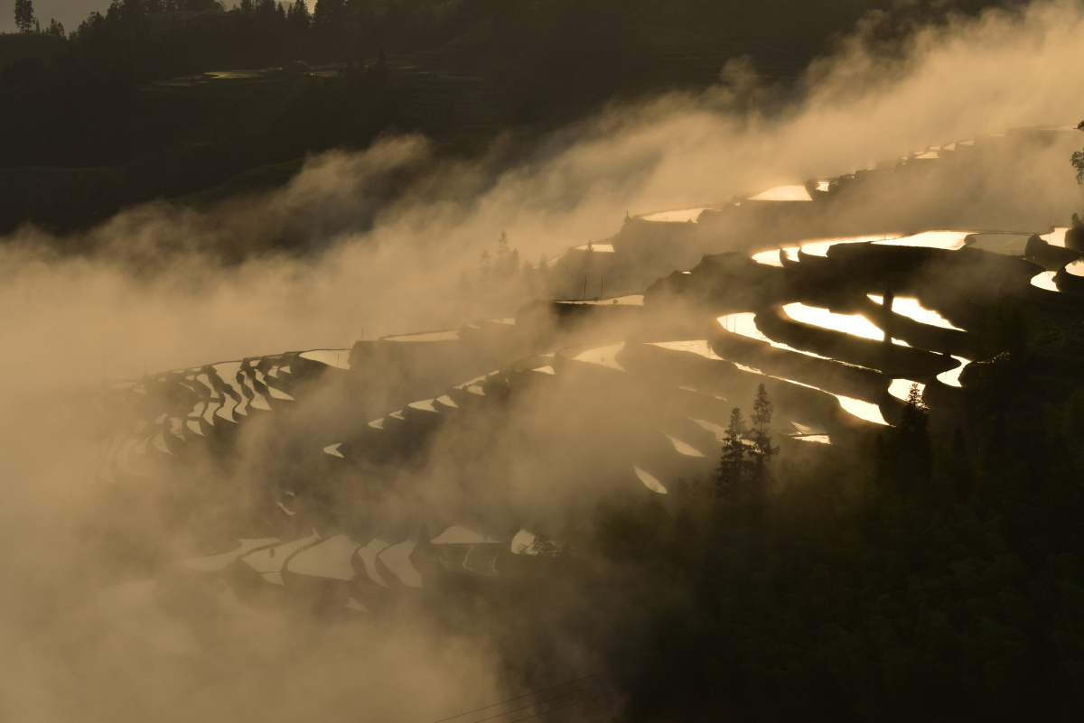 5月17日早晨,贵州省从江县加鸠镇加水梯田如梦幻般仙境.(吴德军摄)