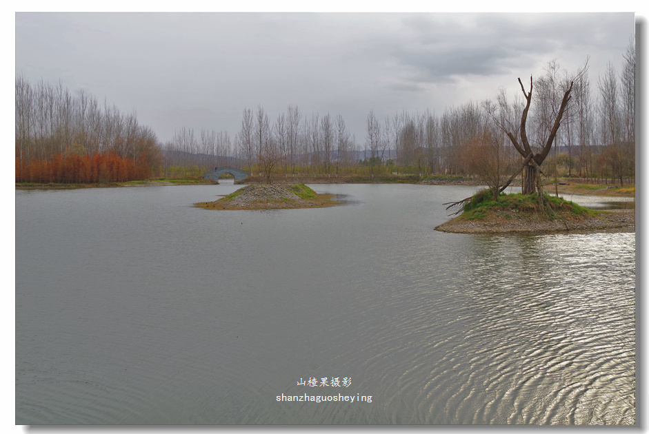 朔风吹过羊皮滩丹江口