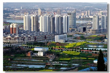 _IGP2941