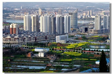 _IGP2941