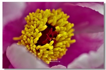 _IGP3324