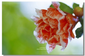 _IGP4402