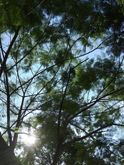 IMG_20160727_091207